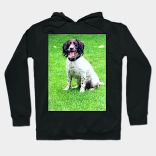 Brock wet dog Hoodie